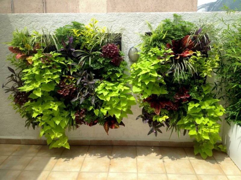 Cuadros con plantas artificiales para pared 